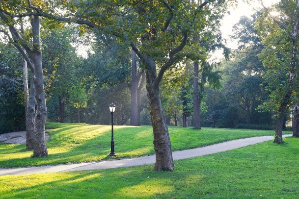 New-York Central Park