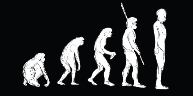 evolution